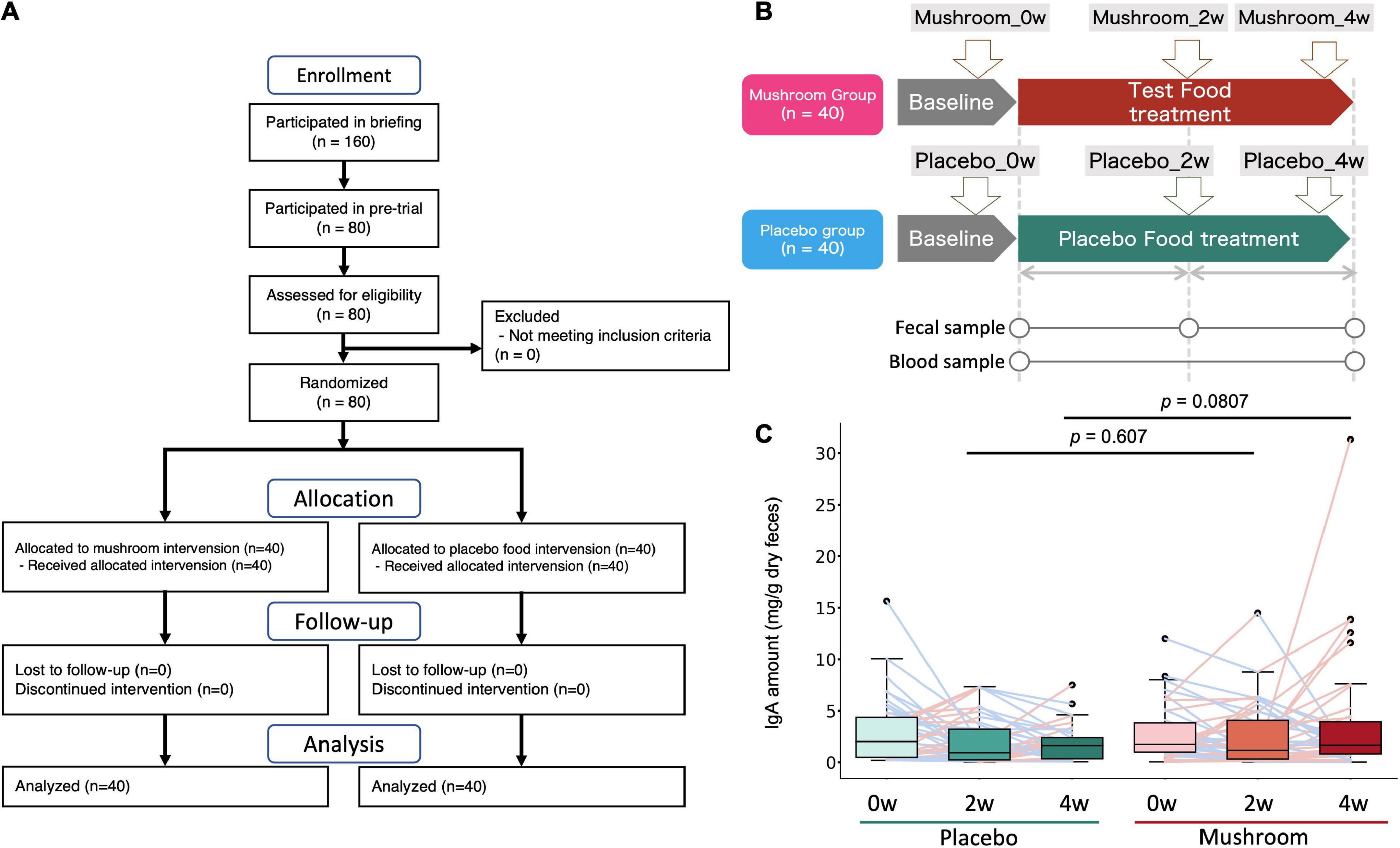 Dietary supplement of mushrooms promotes SCFA production and moderately associates with IgA production: A pilot clinical study